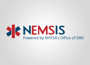 Nemsis logo